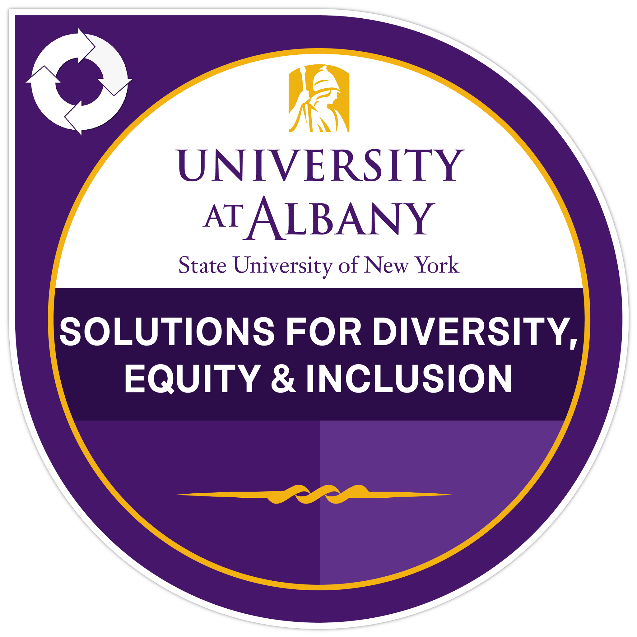 Organizational Solutions for Diversity, Equity, Inclusion and Sense of Belonging