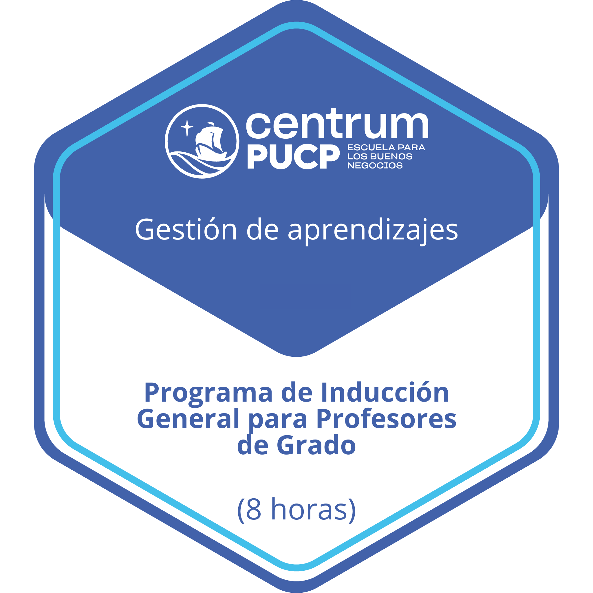 Programa de Inducción General para Profesores de Grado