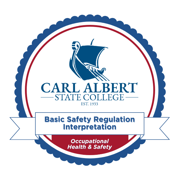 Basic Safety Regulation Interpretation