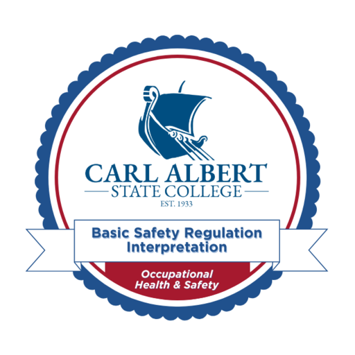 Basic Safety Regulation Interpretation - Credly