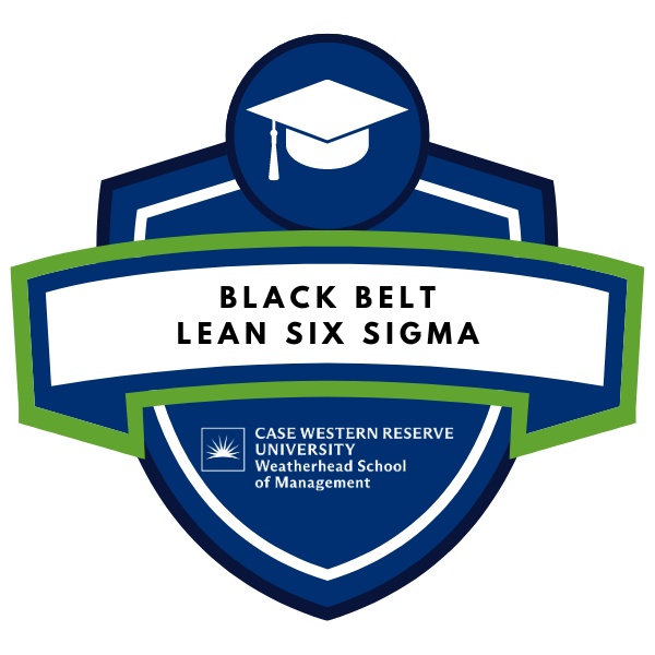 Lean Six Sigma Black Belt
