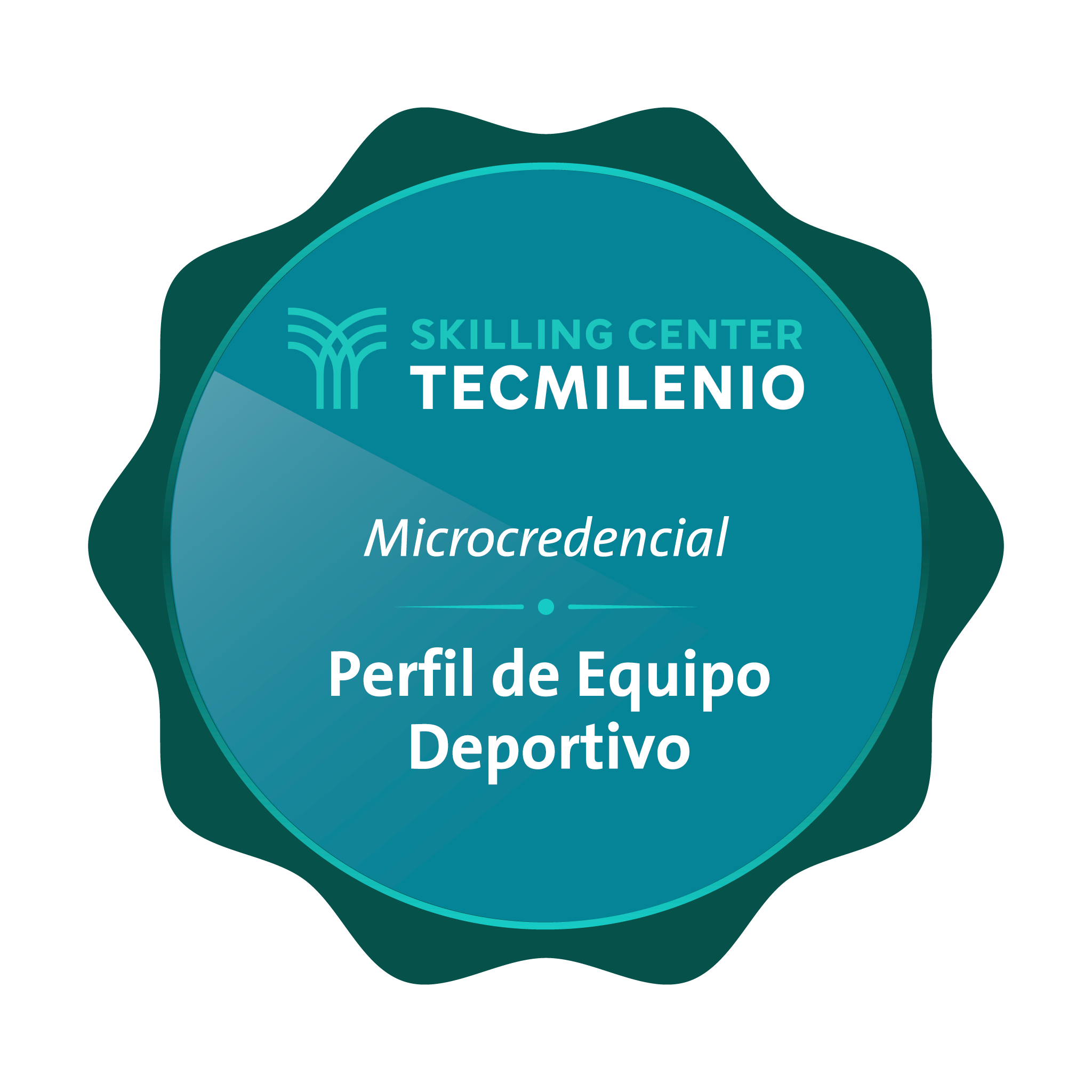 Microcredencial Perfil de equipo deportivo