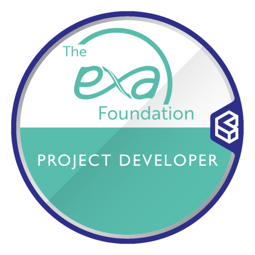Exa Networks - Digital Project Developer - Credly