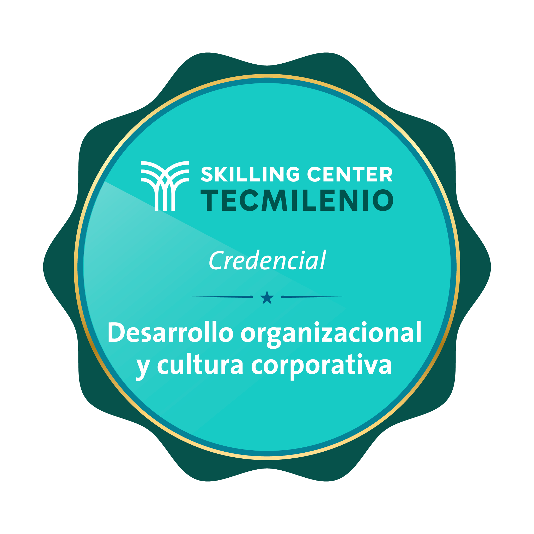 Credencial Desarrollo organizacional y cultura corporativa