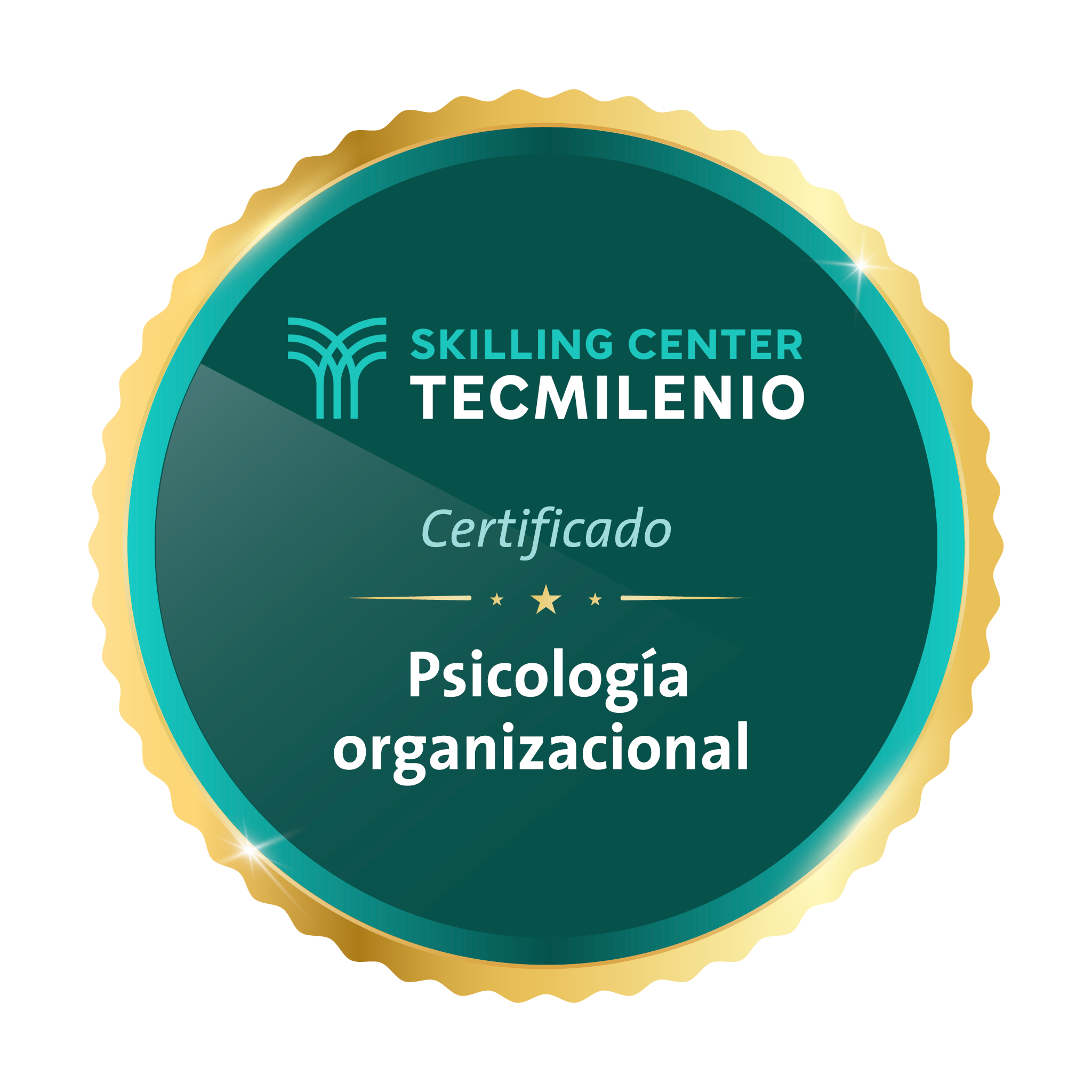 Certificado Psicología organizacional