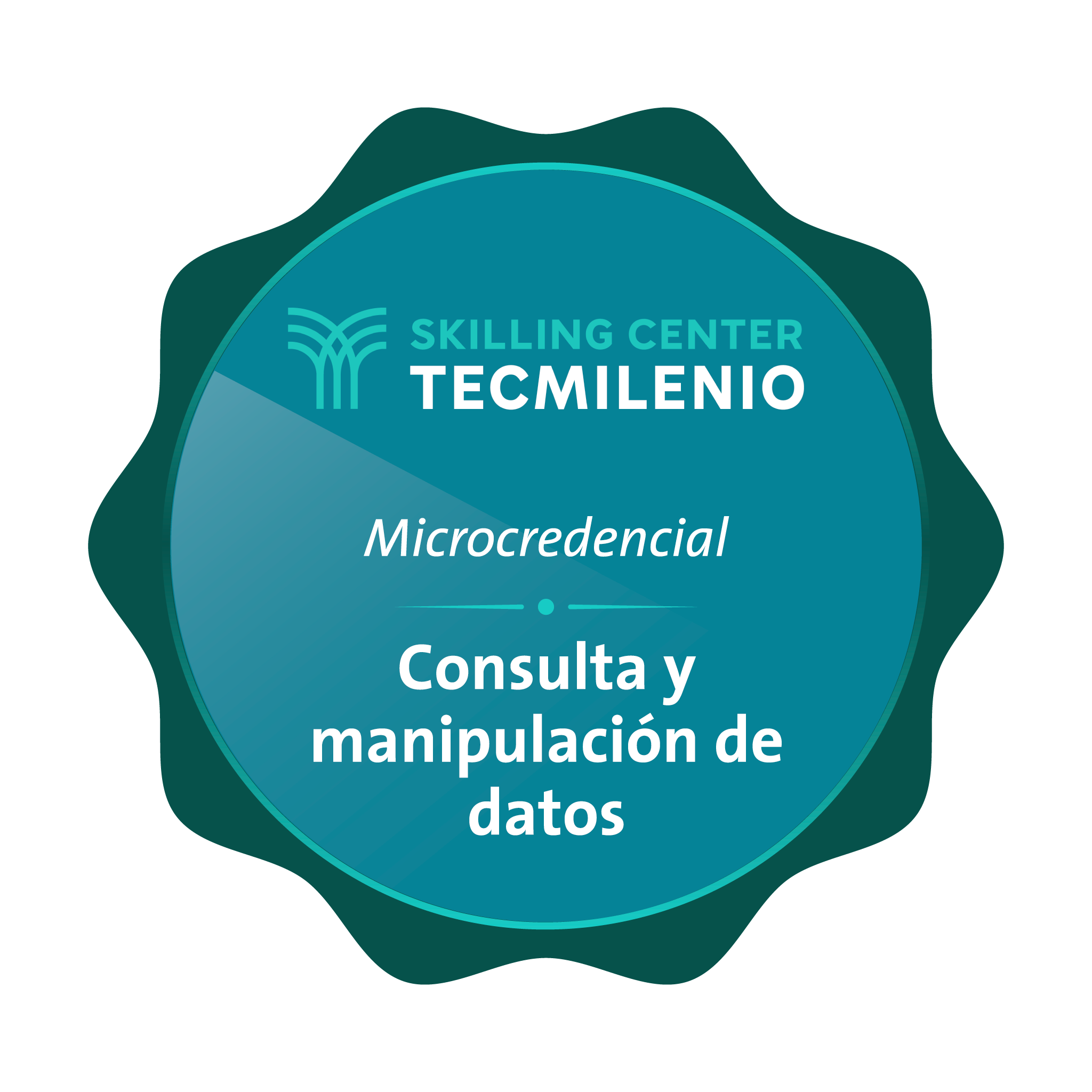 Microcredencial Consulta y manipulación de datos