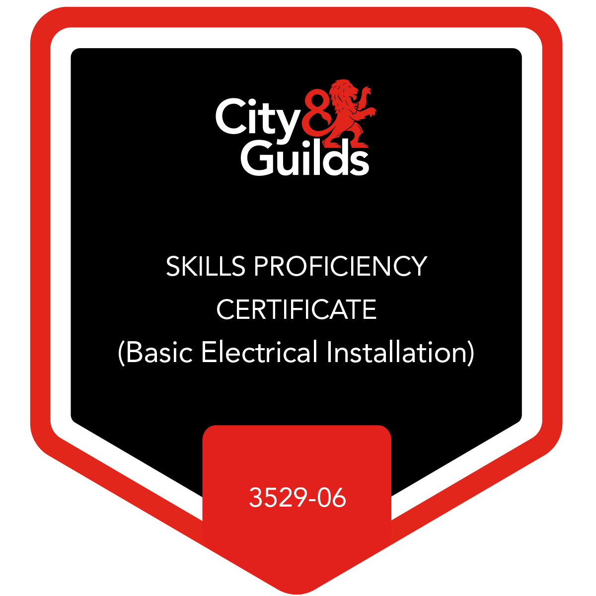 Skills Proficiency Certificate (Basic Electrical Installation)- 3529-06