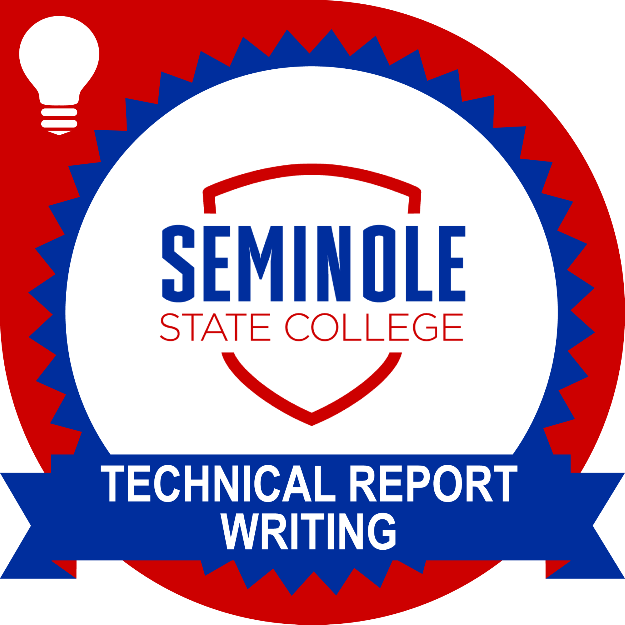 Technical Report Writing