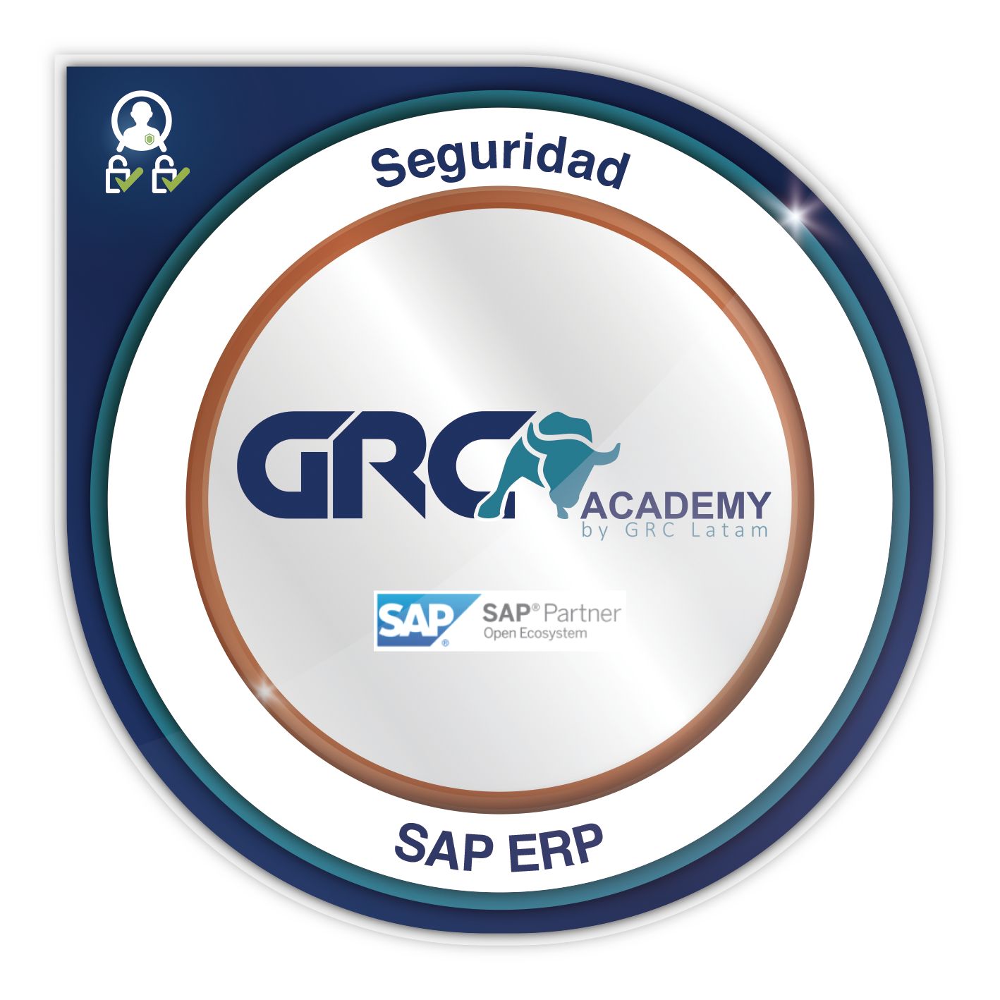 Seguridad SAP ERP