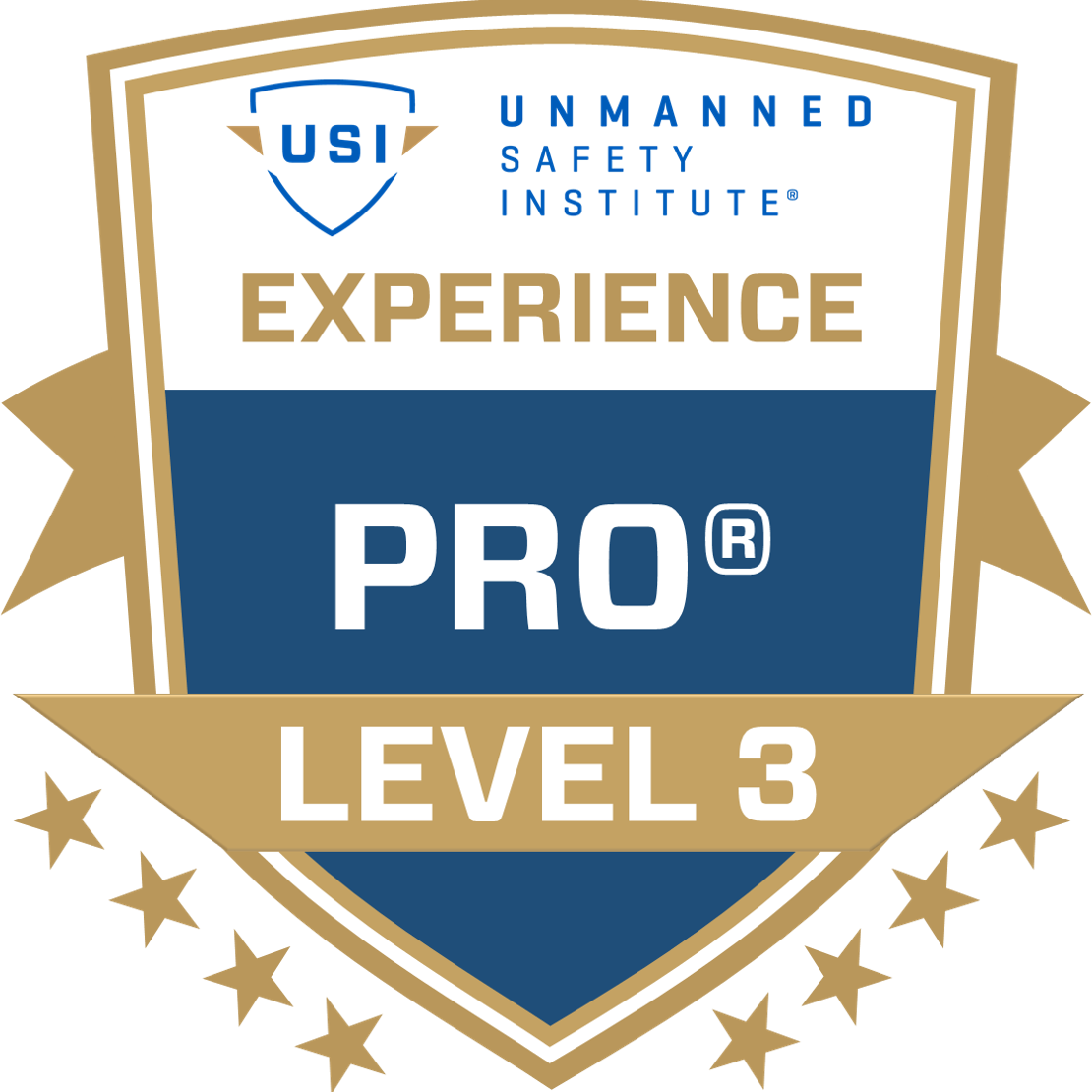 Stage 2 - Professional Remote Operator (PRO): Level 3