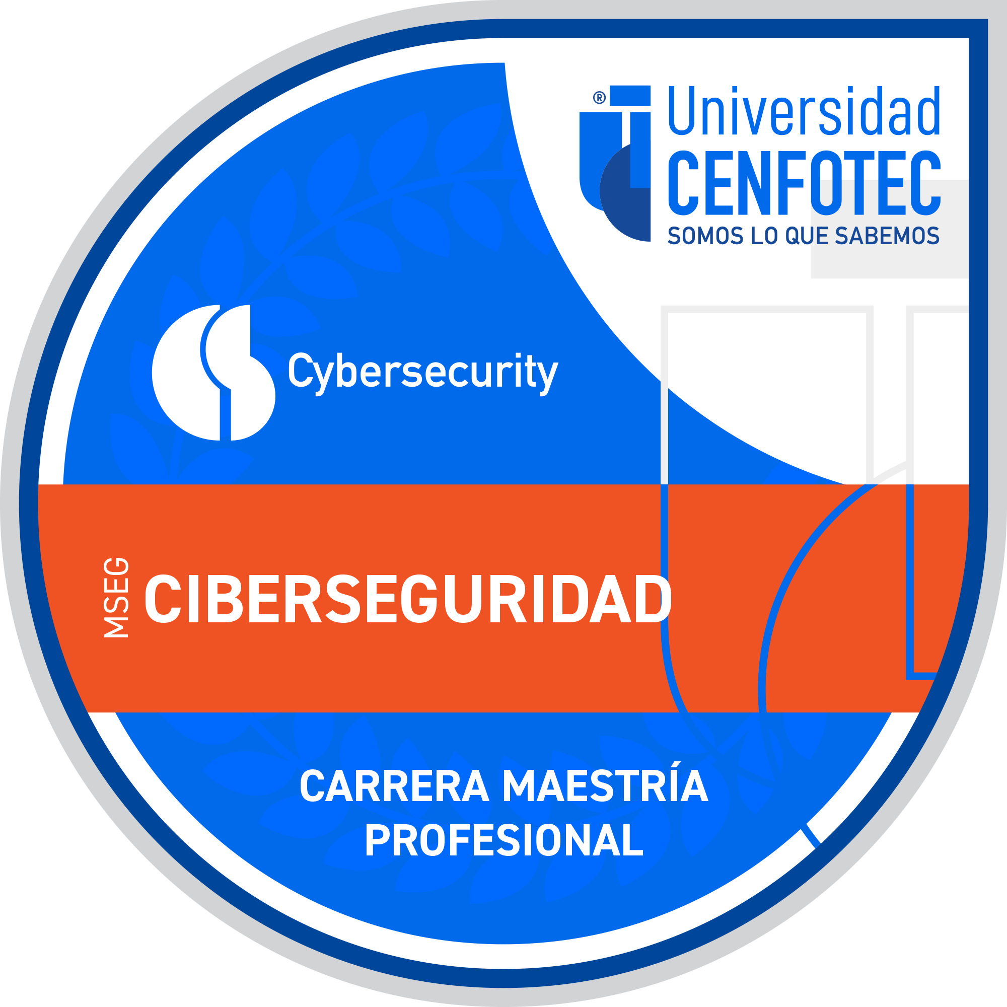 Maestría Profesional en Ciberseguridad
