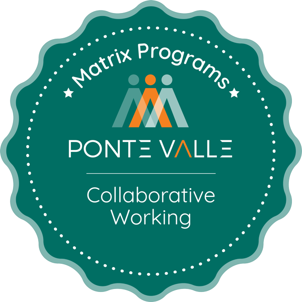 Passport to Collaborative Working