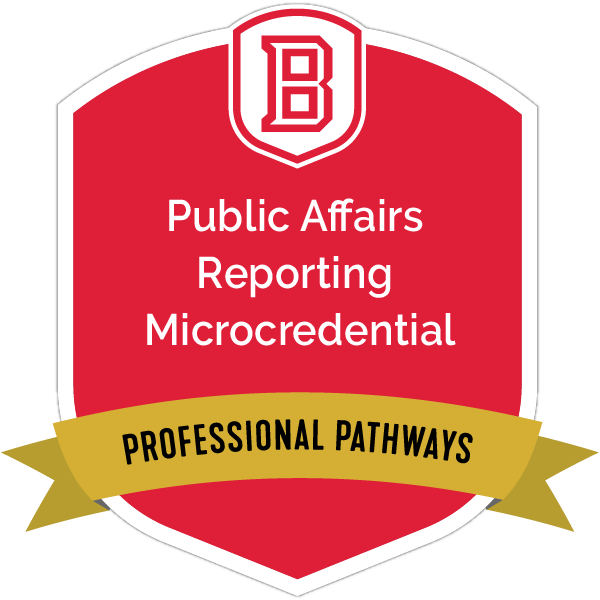 Public Affairs Reporting