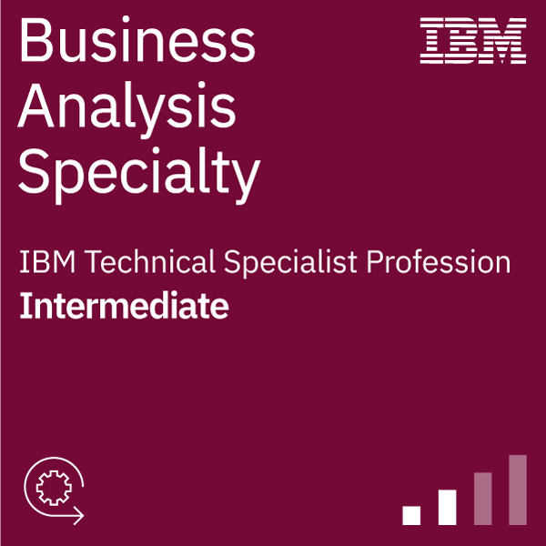 Business Analysis Specialty - Experienced