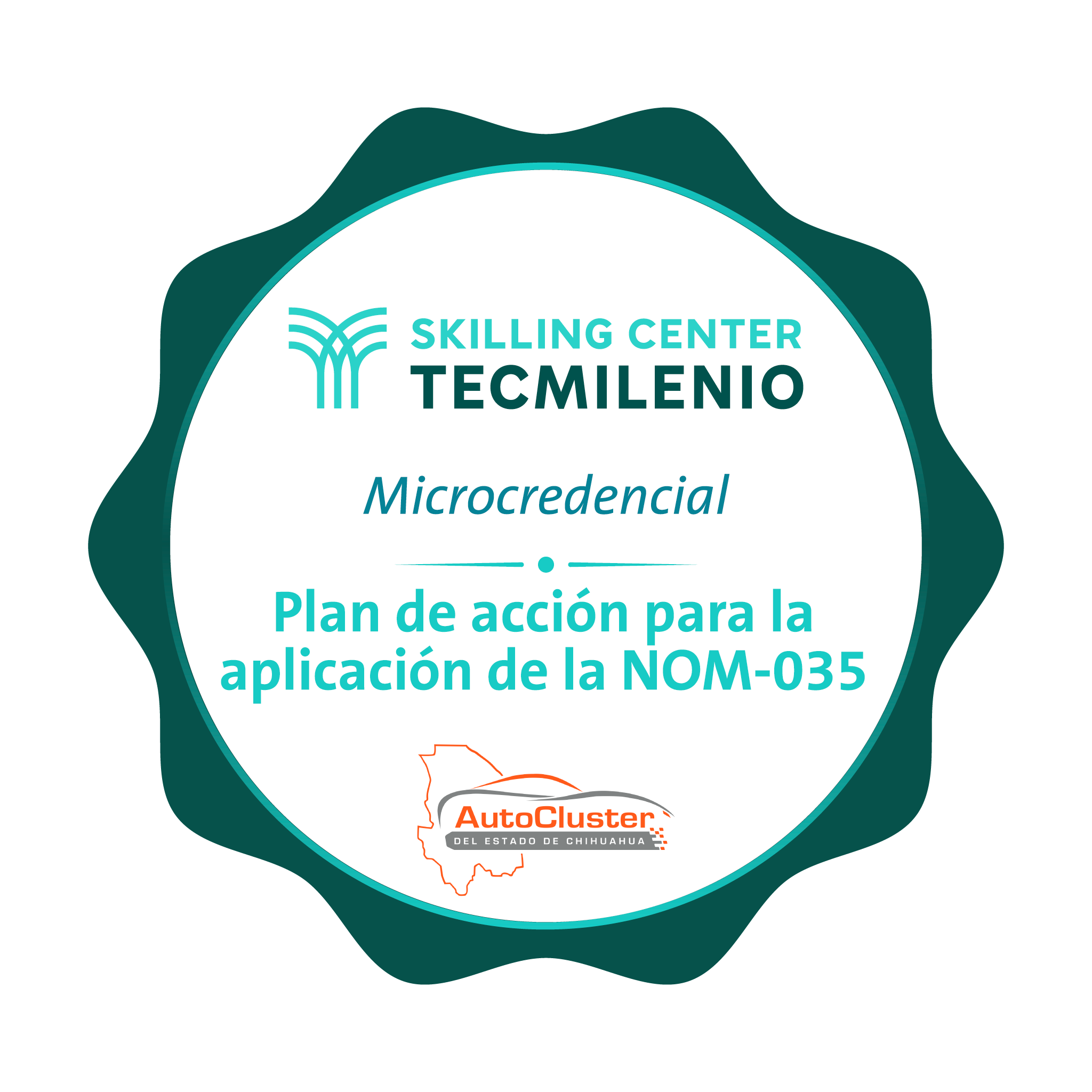 -Microcredencial Plan de acción para la aplicación de la NOM-035