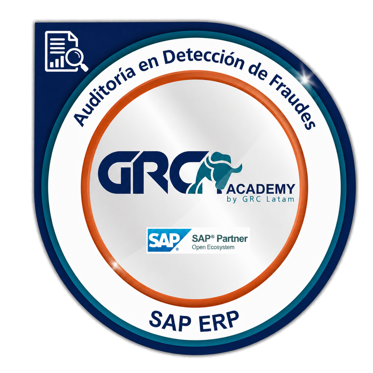 Auditoría en Detección de Fraudes SAP ERP