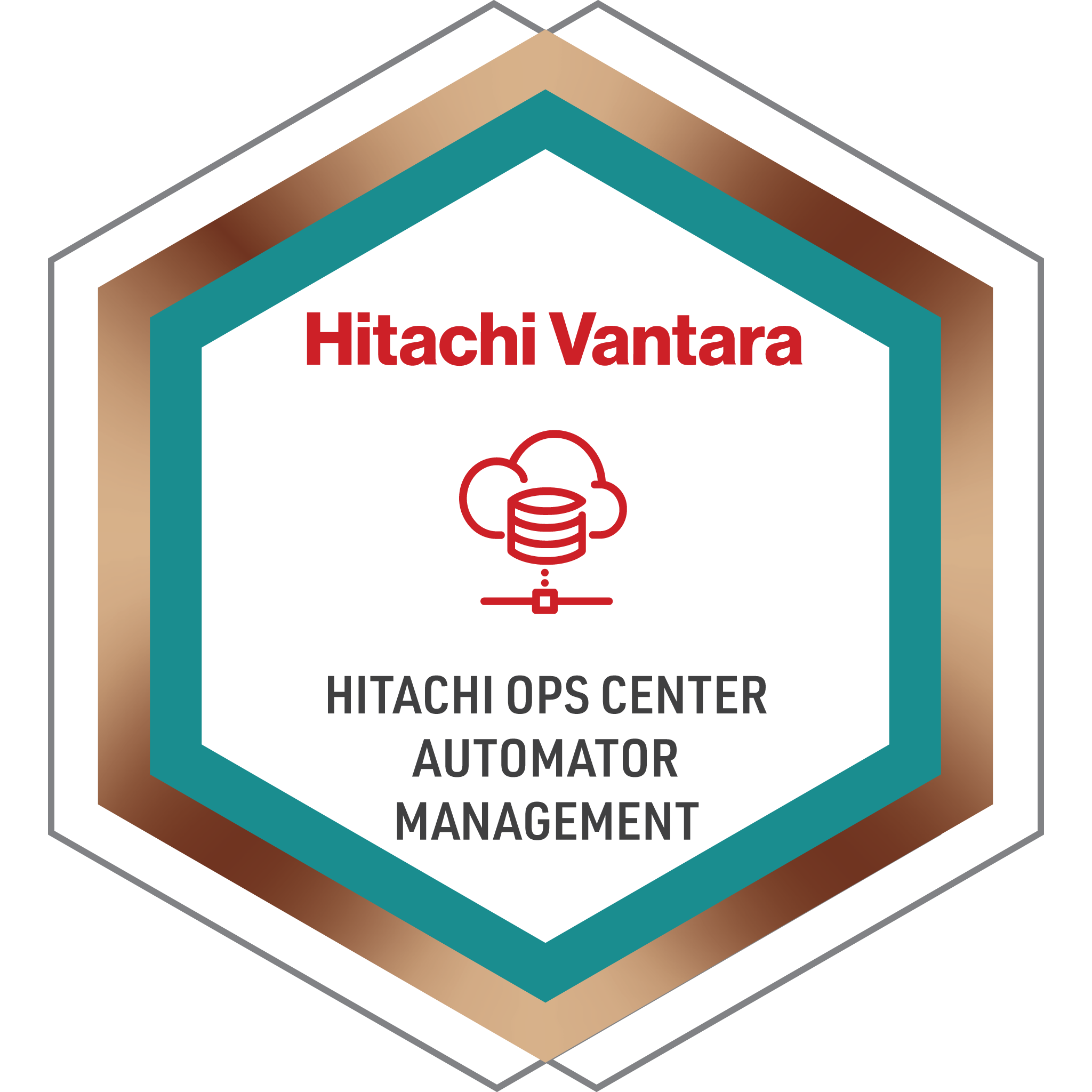 Hitachi Ops Center Automator Management