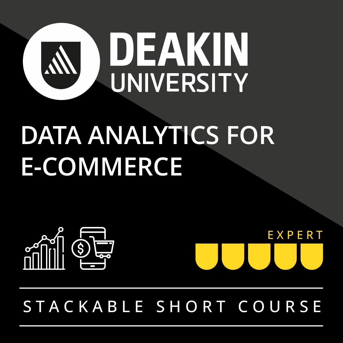 Data Analytics for E-Commerce