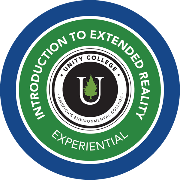 Introduction to eXtended Reality (XR) Badge