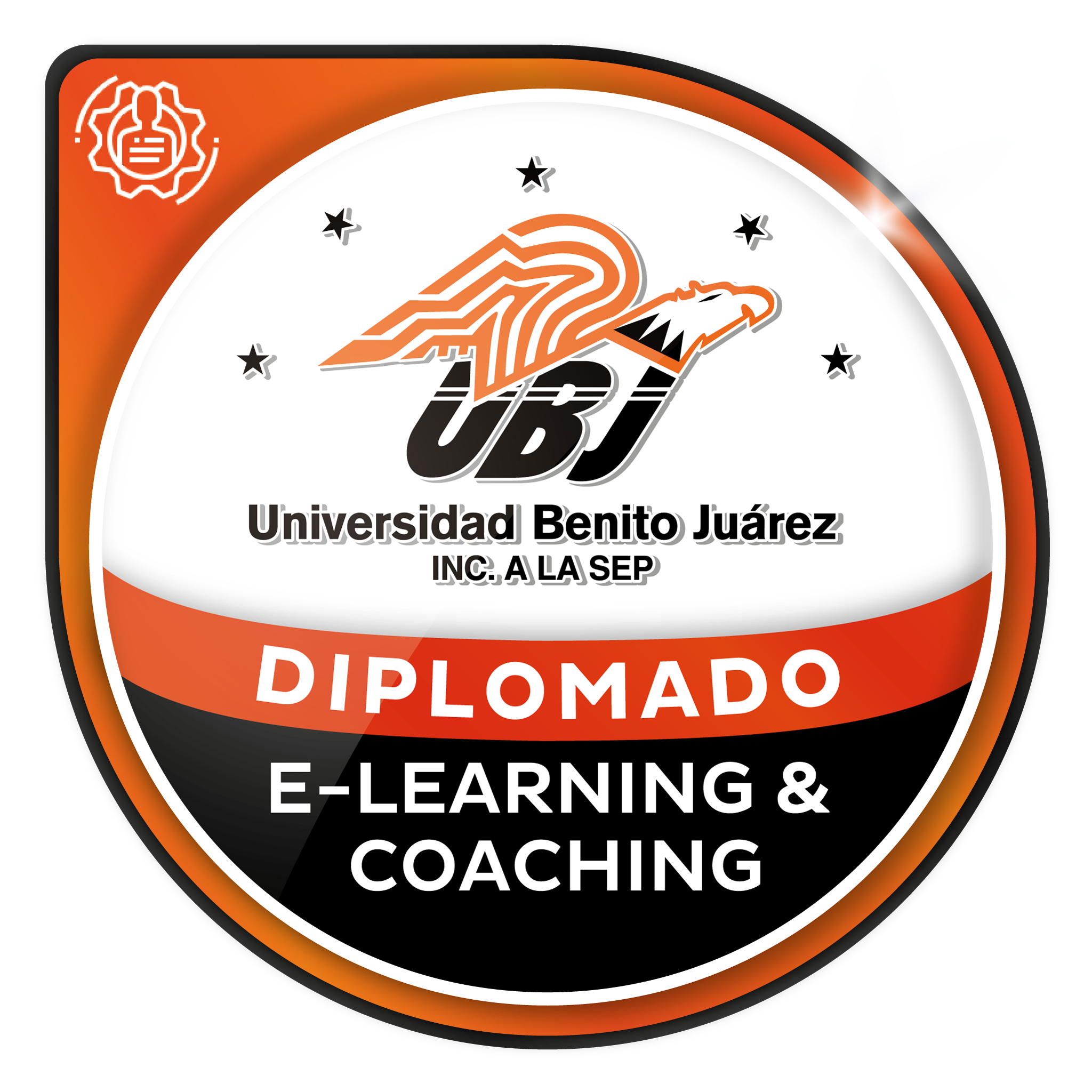 Diplomado en e-Learning & Coaching