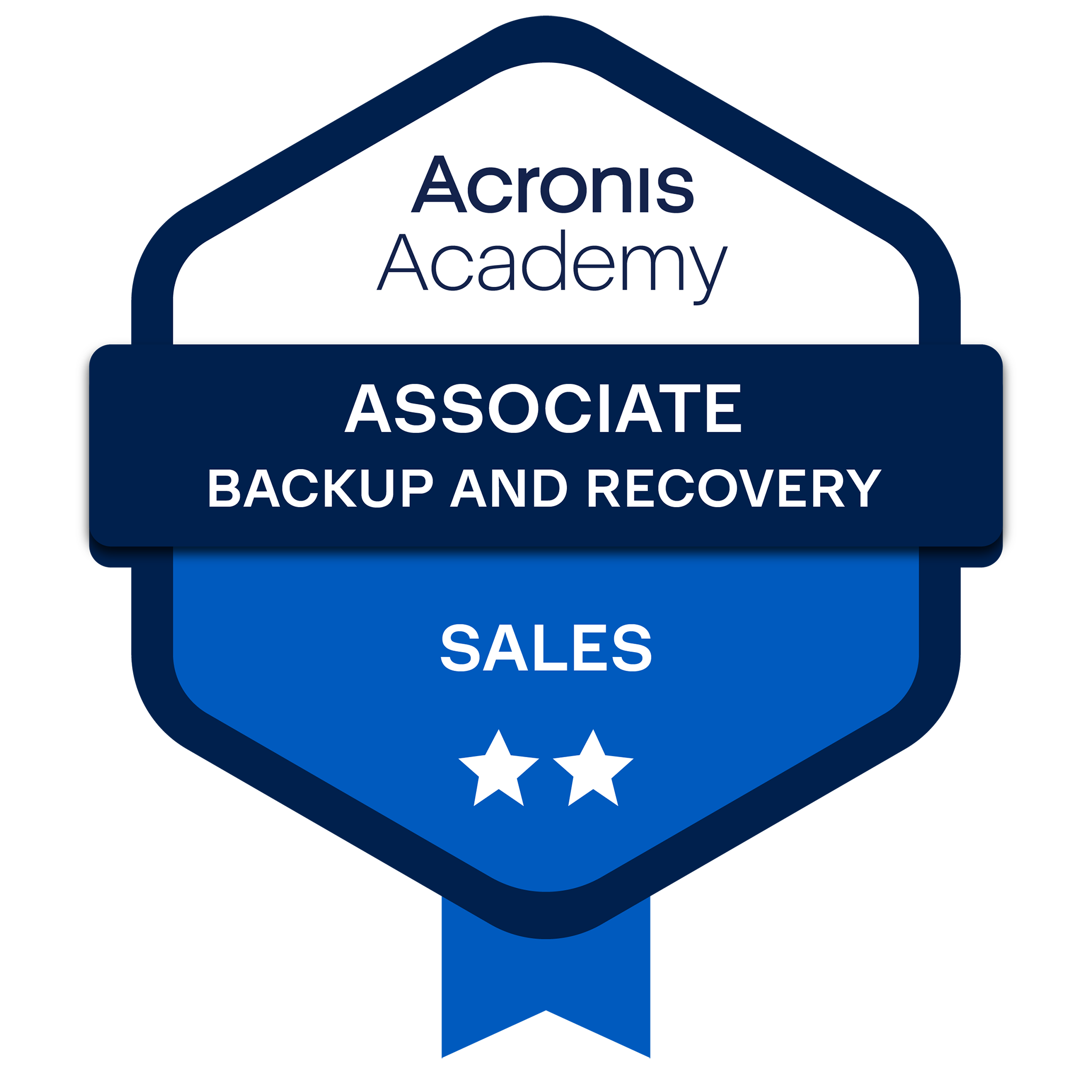Sales Associate Backup and Recovery