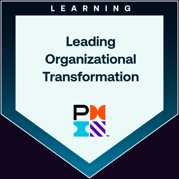Leading Organizational Transformation