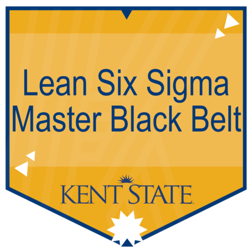 Lean Six Sigma Master Black Belt Training and Certification - Credly