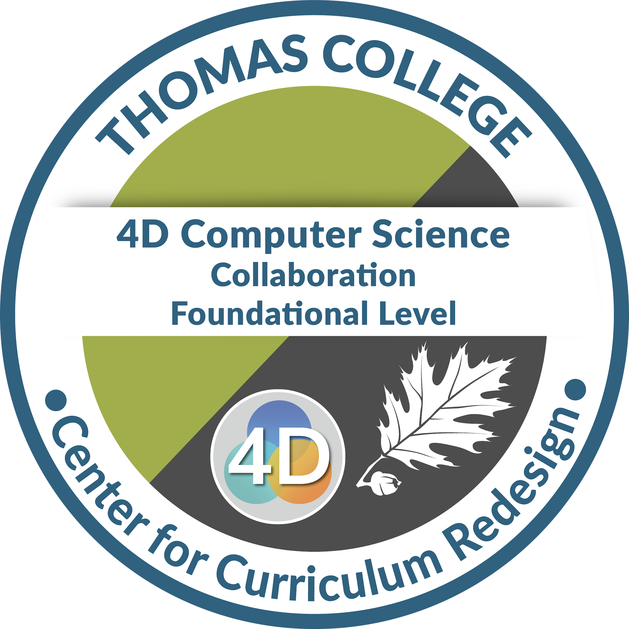 4D Computer Science: Collaboration