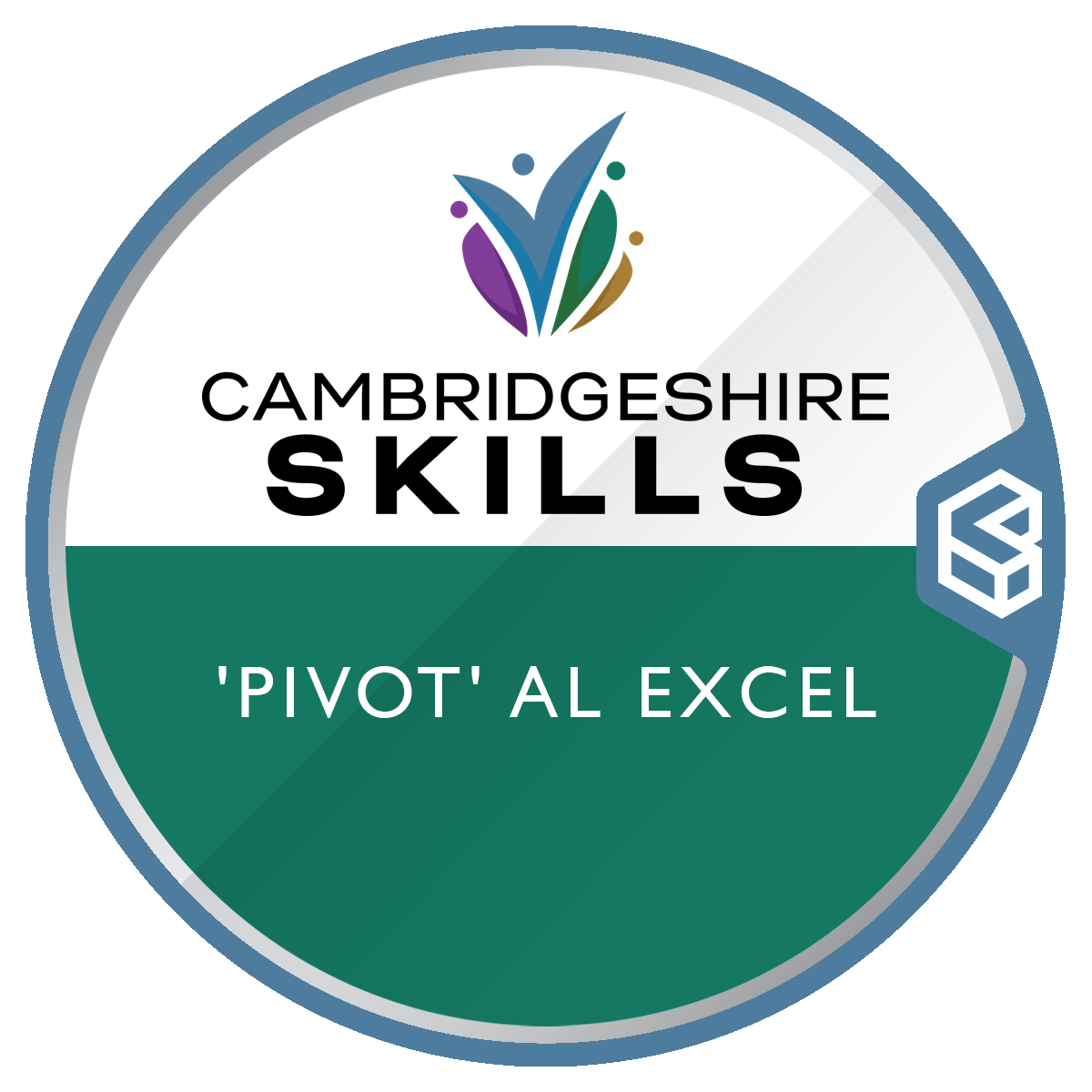  pivot al excel credly