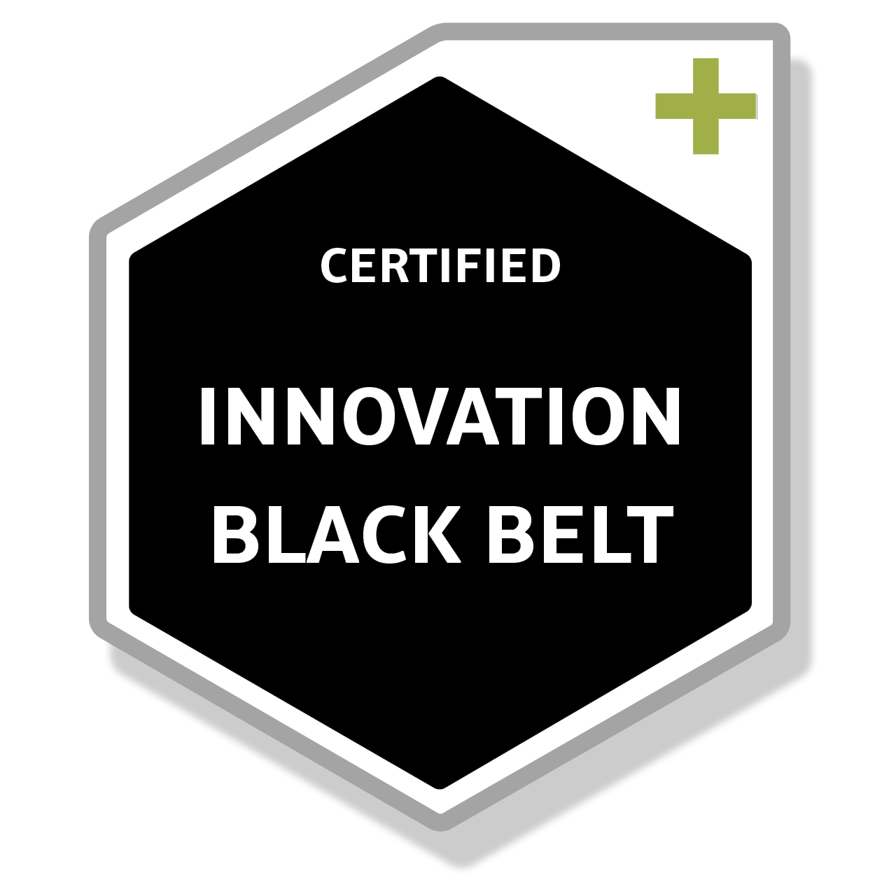 Certified Innovation Black Belt