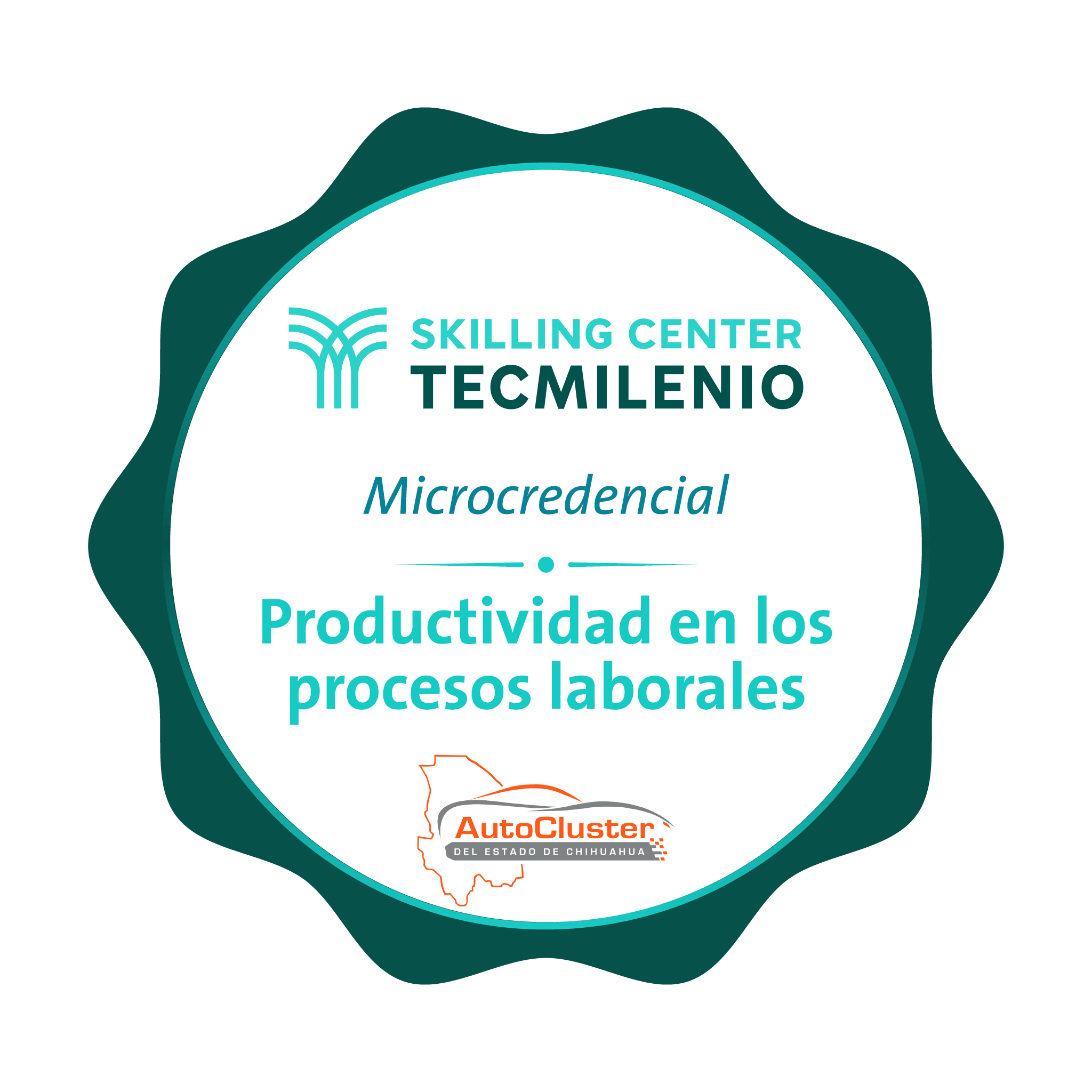 -Microcredencial Productividad en los procesos laborales