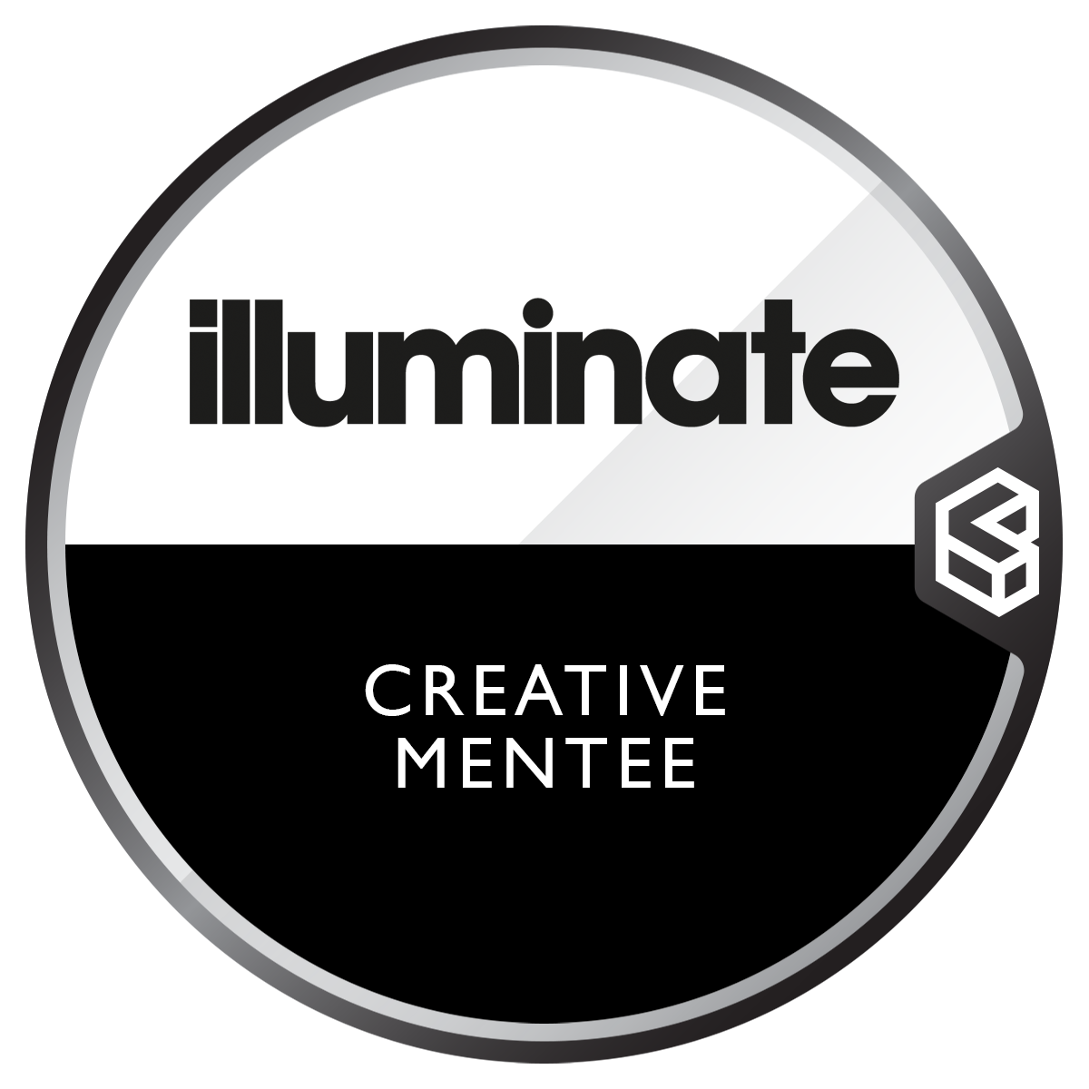 Illuminate Light Festival Creative Mentorship