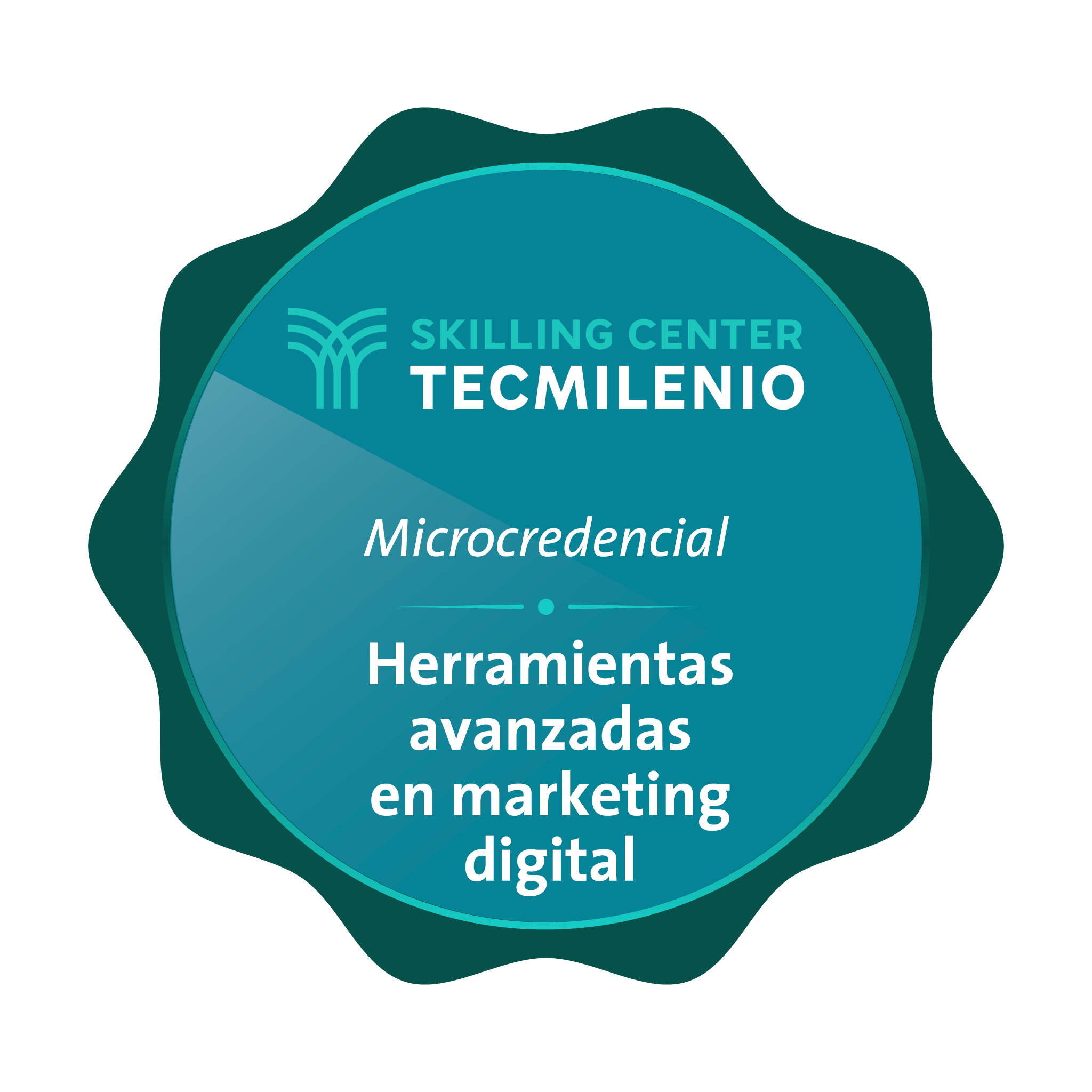 Microcredencial Herramientas Avanzadas en Marketing Digital