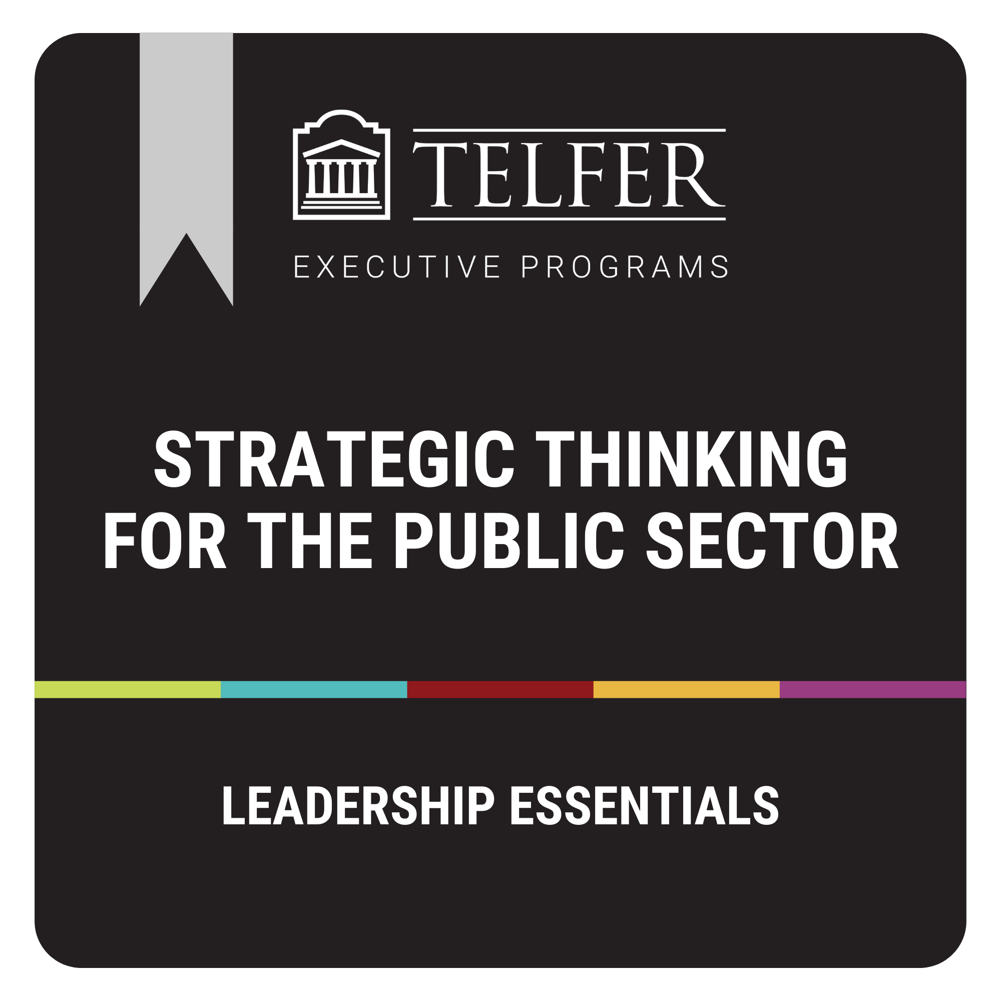 Strategic Thinking for the Public Sector Program
