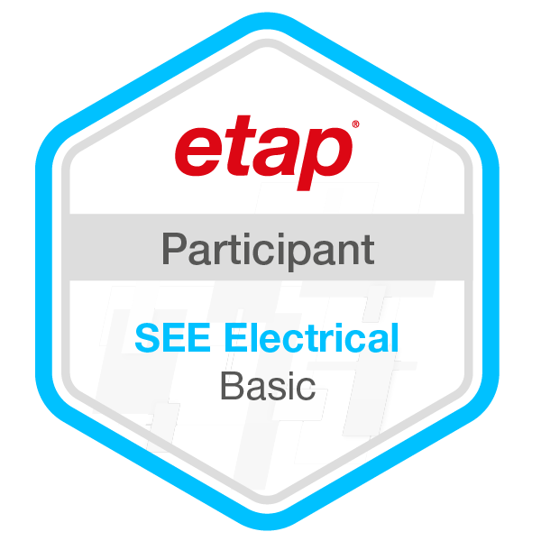 SEE Electrical - Basic (CN)