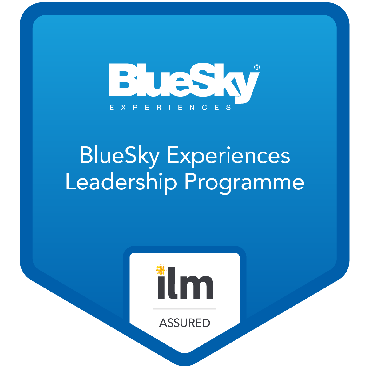 BlueSky Experiences Leadership Programme