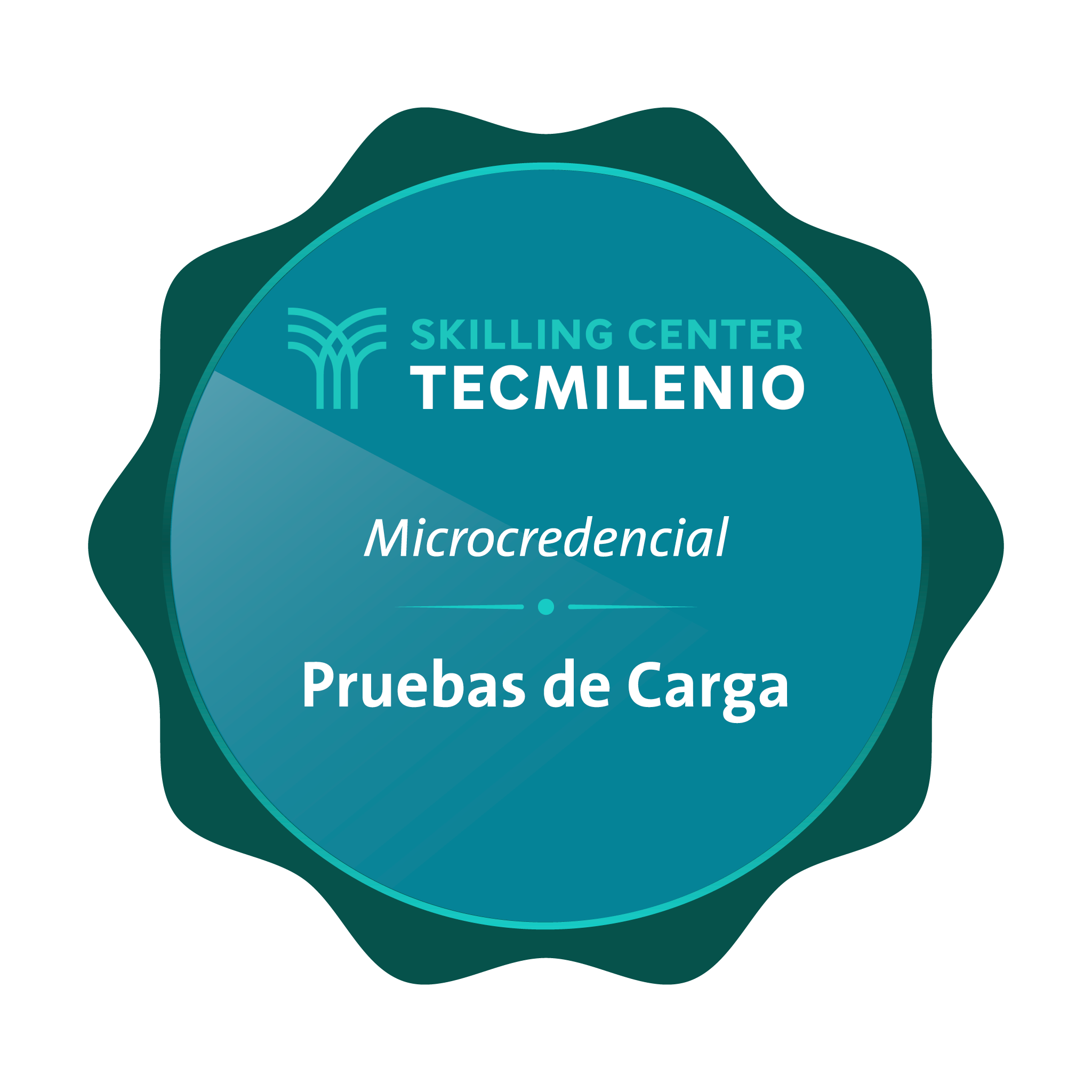 Microcredencial Pruebas de Carga