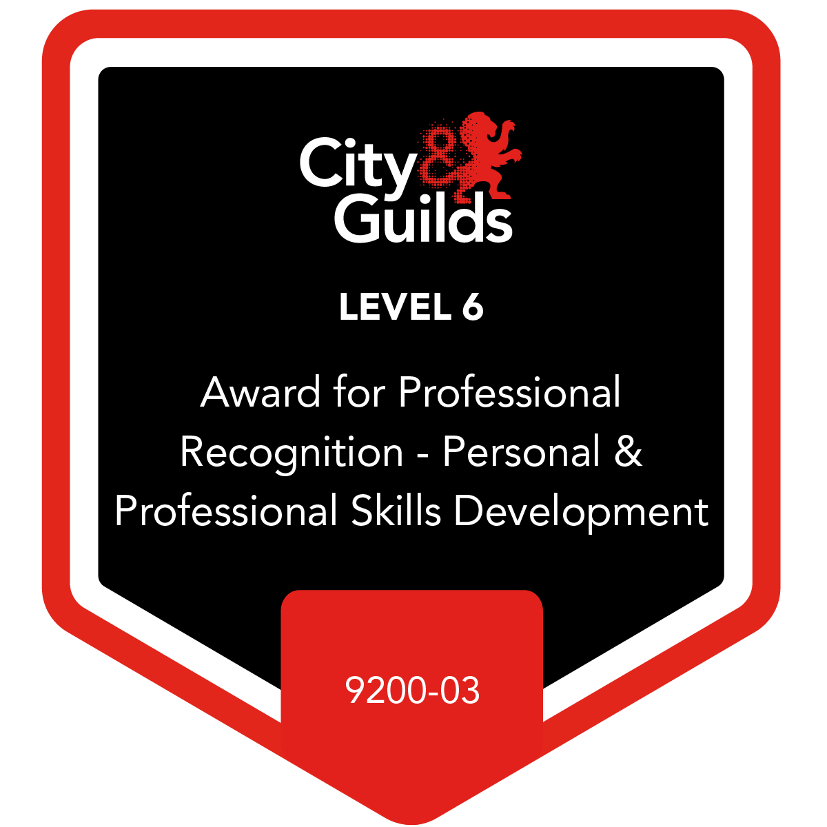 Level 6 Award for Professional Recognition - Counter Terrorism – Security Co-ordination and Integrated Risk Management - 9200-03