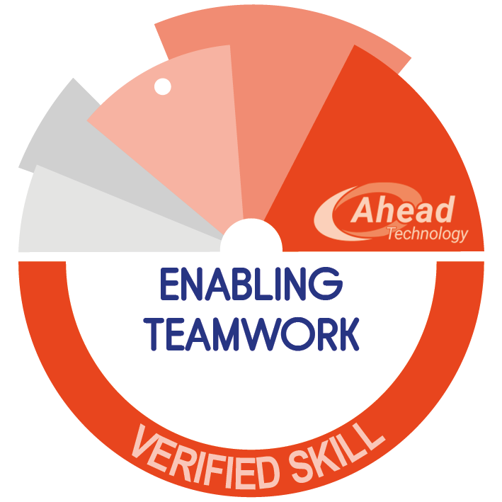 Enabling Team work