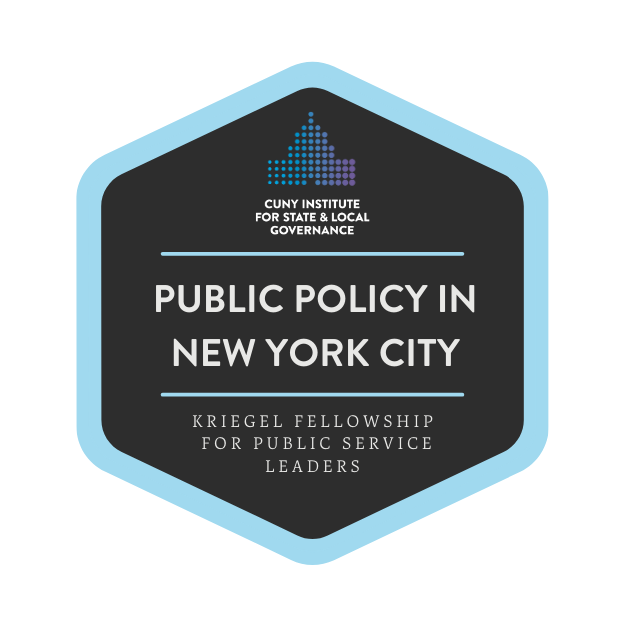 Public Policy in New York City