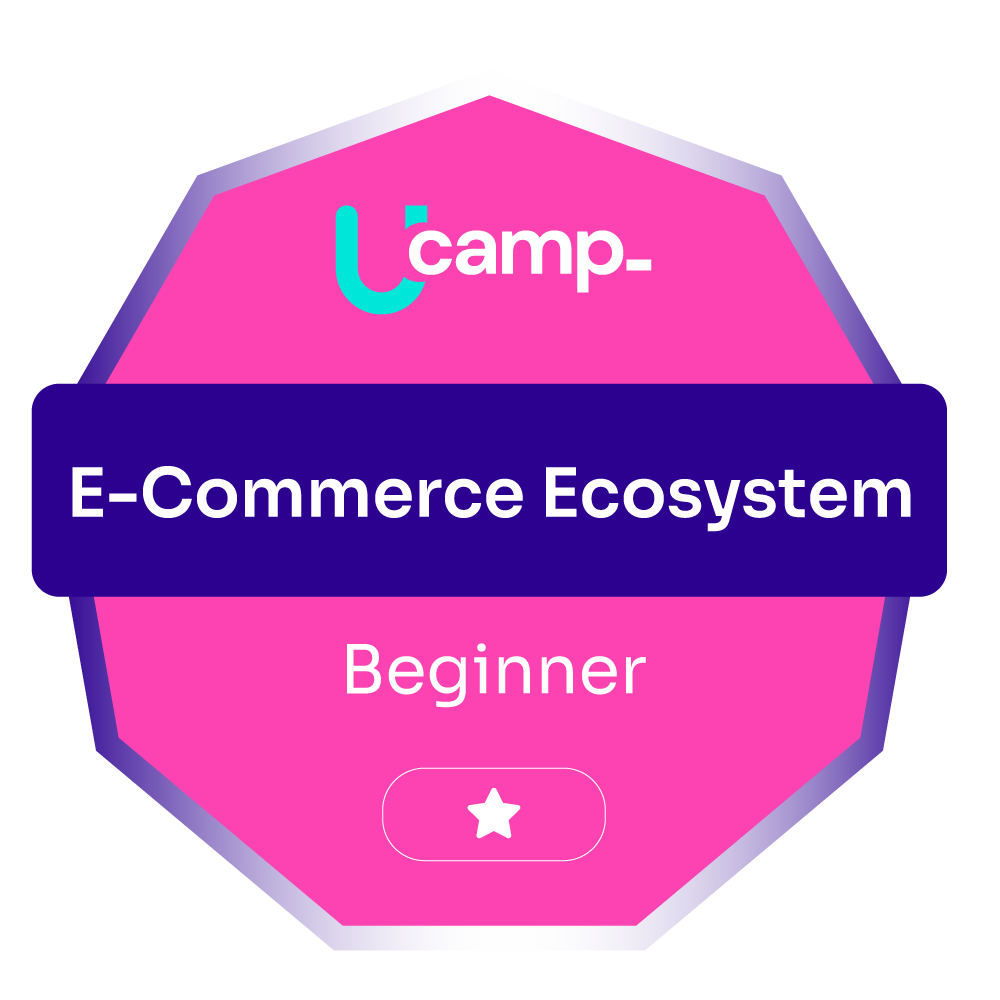 E-Commerce Ecosystem