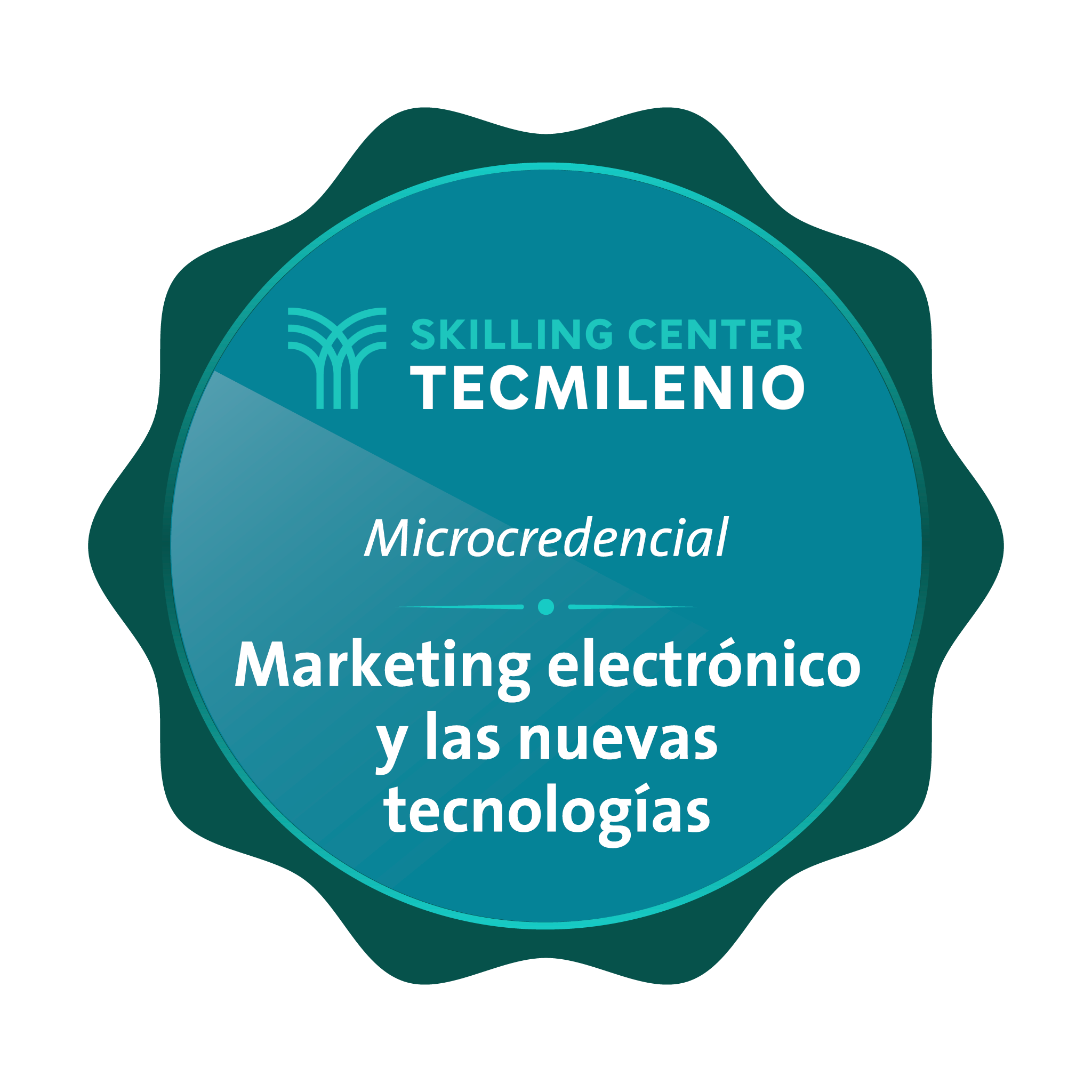 Microcredencial Marketing electrónico y las nuevas tecnologías