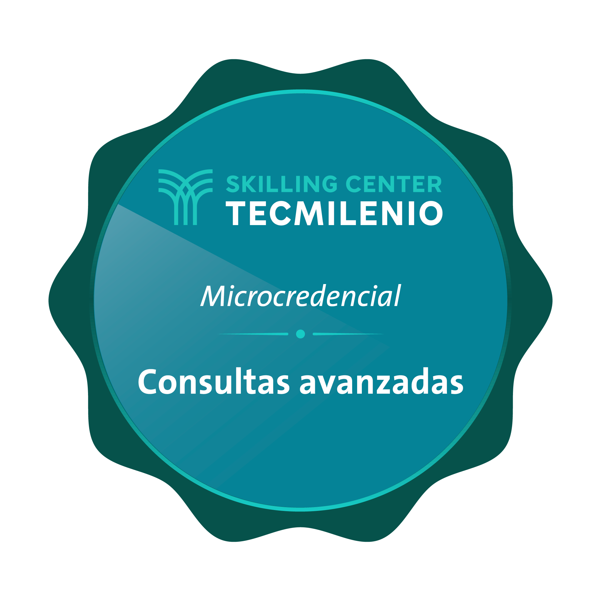 Microcredencial Consultas avanzadas