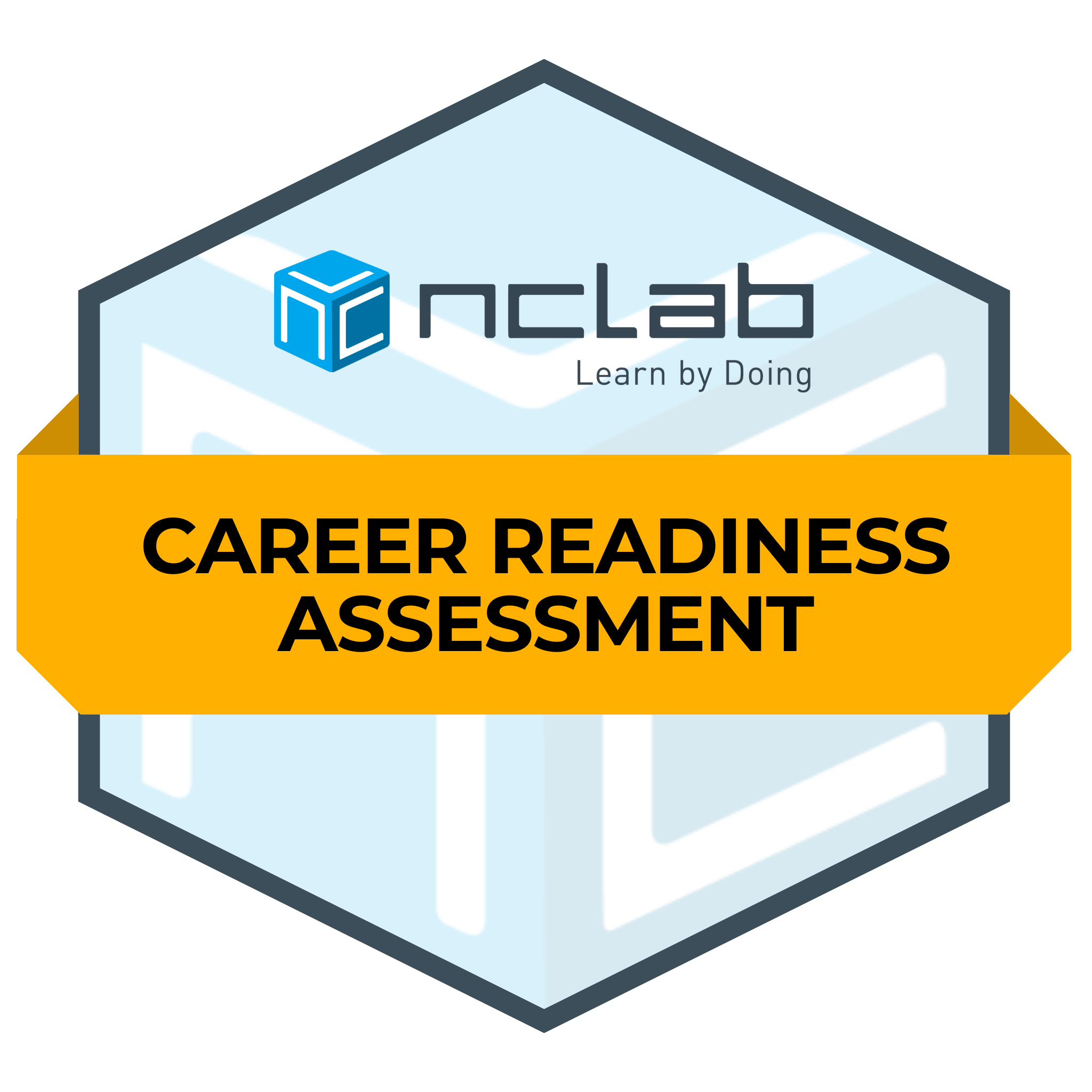 Career Readiness Assessment