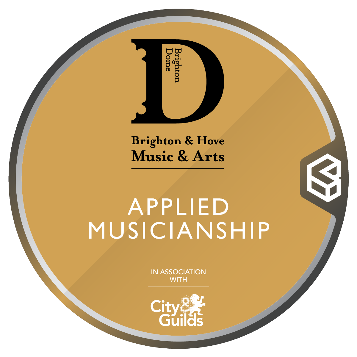 Brighton & Hove Music & Arts Our Future Music Applied Musician