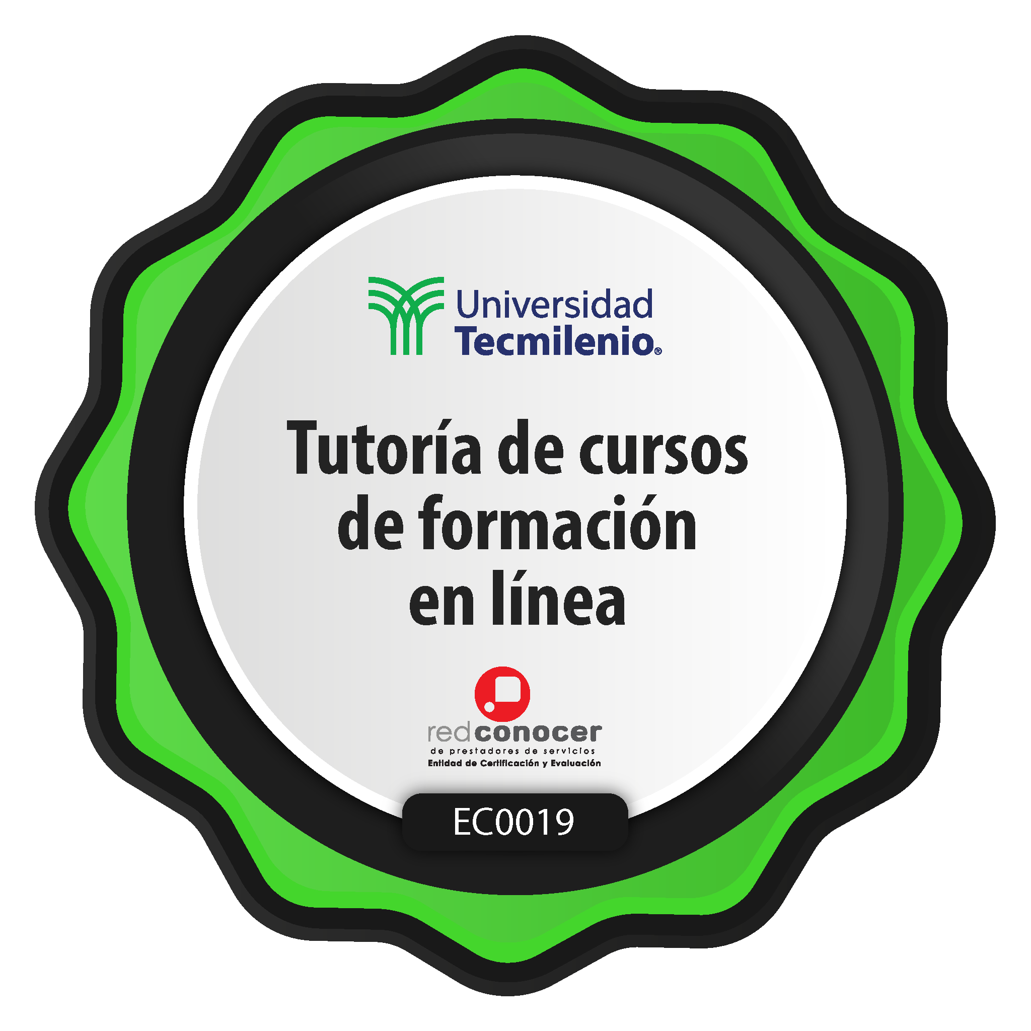 Tutoría de cursos de formación en línea