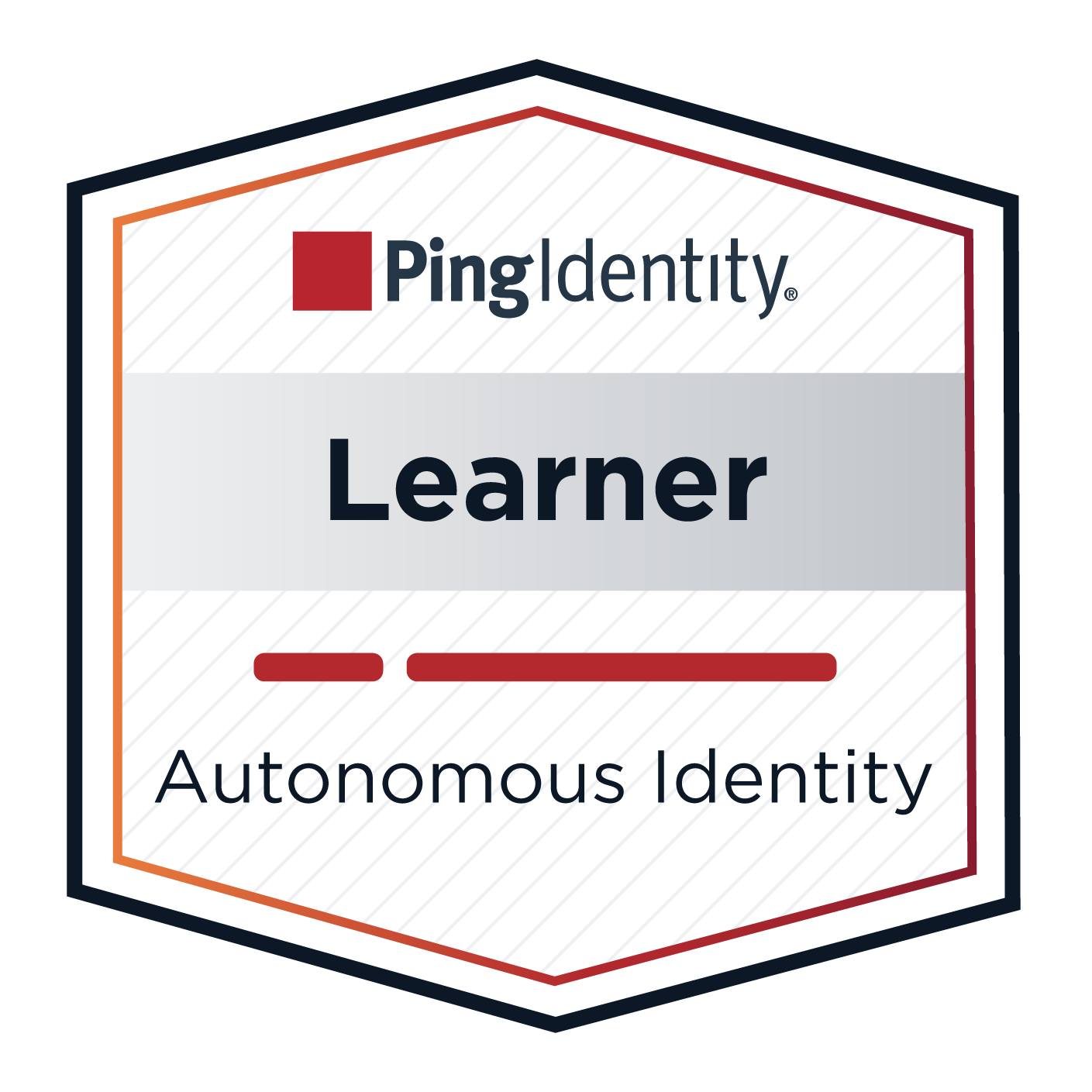 Autonomous Identity Learner