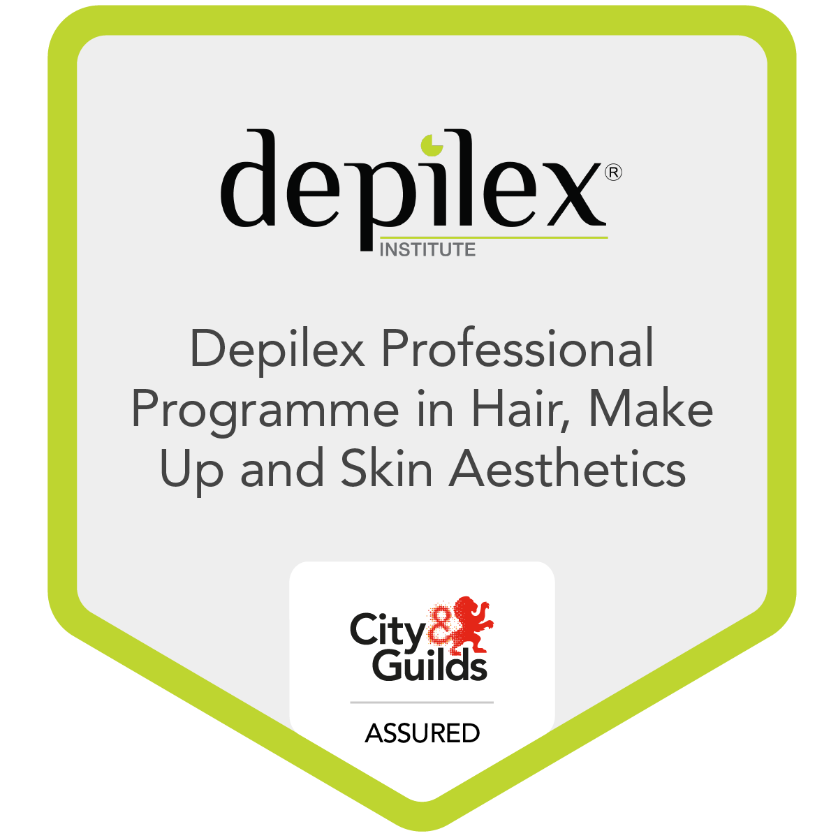 Depilex Professional Programme in Hair, Make Up and Skin Aesthetics