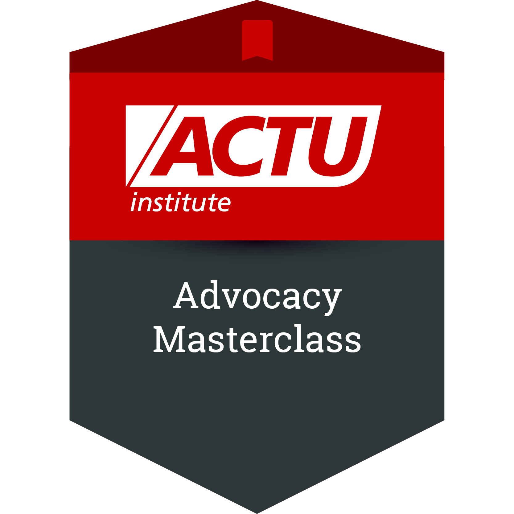 Advocacy Masterclass - Credly