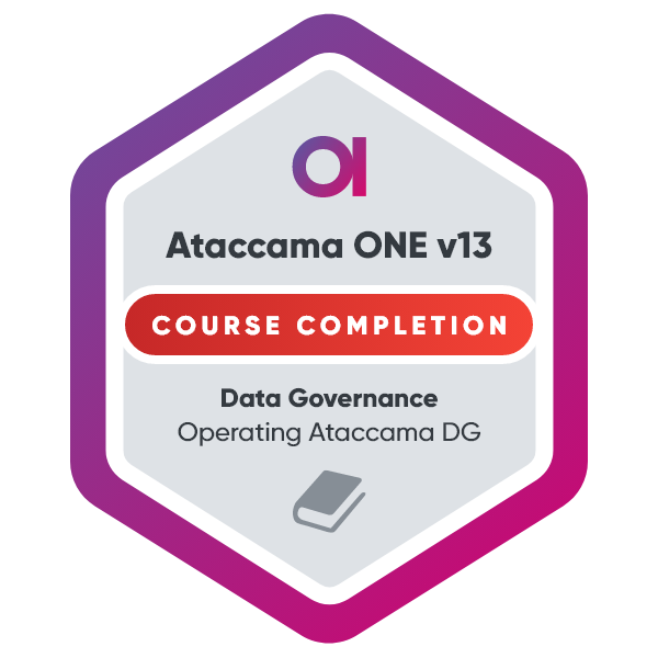 Ataccama ONE v13 | Operating DG